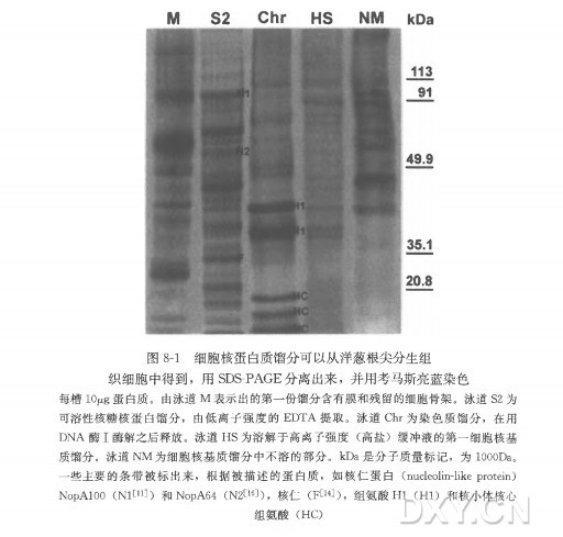 丁香实验推荐阅读