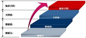 丁香实验推荐阅读