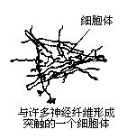 丁香实验推荐阅读