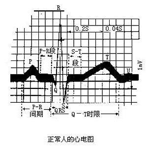 丁香实验推荐阅读