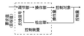 丁香实验推荐阅读