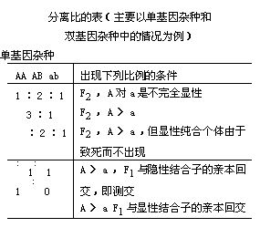 丁香实验推荐阅读