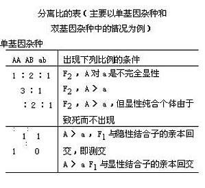 丁香实验推荐阅读