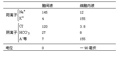 丁香实验推荐阅读