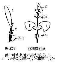 丁香实验推荐阅读