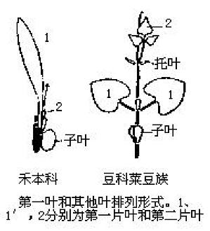 丁香实验推荐阅读