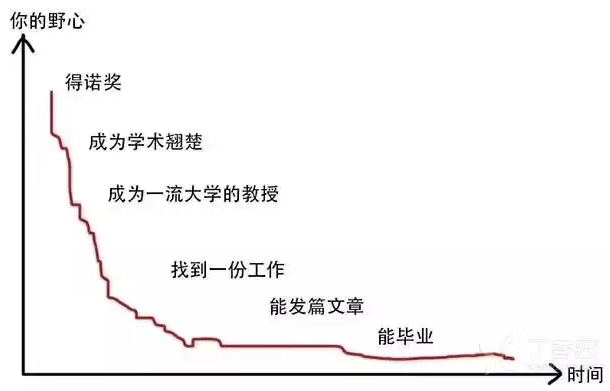 丁香实验推荐阅读