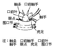 丁香实验推荐阅读