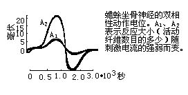 丁香实验推荐阅读