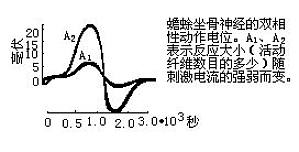 丁香实验推荐阅读