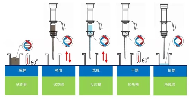 丁香实验推荐阅读