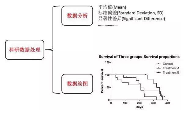 丁香实验推荐阅读