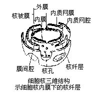 丁香实验推荐阅读