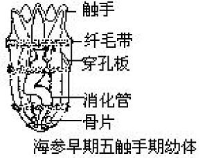 丁香实验推荐阅读