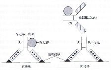 丁香实验推荐阅读