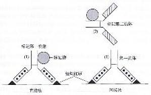 丁香实验推荐阅读