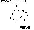 丁香实验推荐阅读