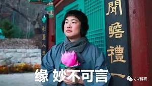 丁香实验推荐阅读