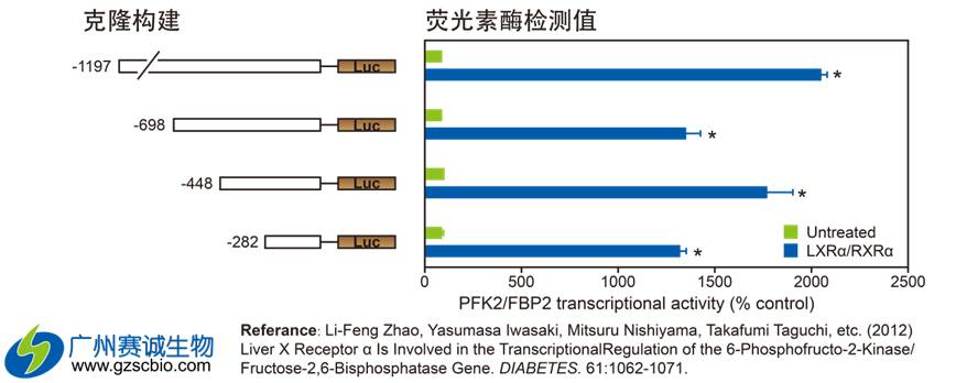 丁香实验推荐阅读