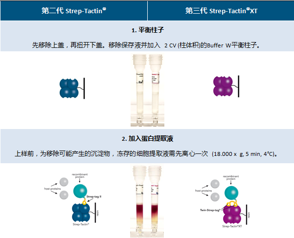 丁香实验推荐阅读