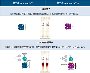 丁香实验推荐阅读