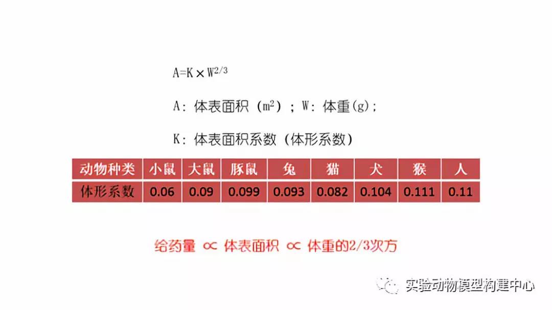 丁香实验推荐阅读