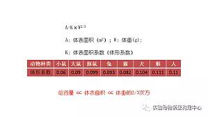 丁香实验推荐阅读