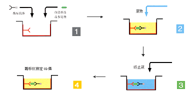 丁香实验推荐阅读