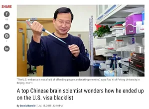 丁香实验推荐阅读
