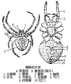 丁香实验推荐阅读