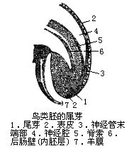 丁香实验推荐阅读