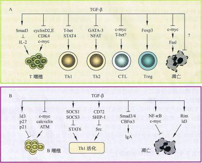 丁香实验推荐阅读