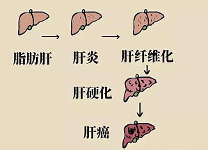 丁香实验推荐阅读