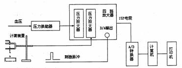 丁香实验推荐阅读