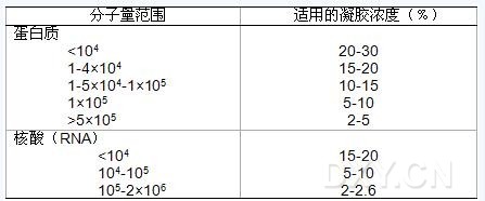 丁香实验推荐阅读