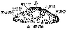 丁香实验推荐阅读