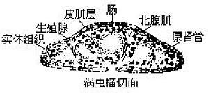 丁香实验推荐阅读