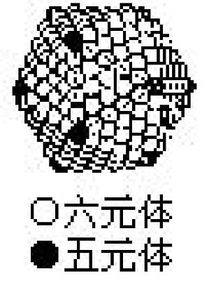 丁香实验推荐阅读