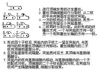 丁香实验推荐阅读