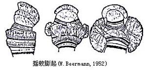 丁香实验推荐阅读