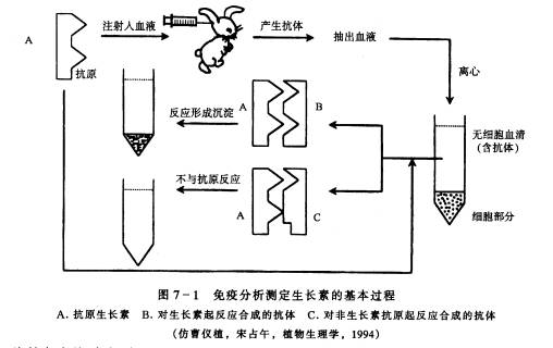 丁香实验推荐阅读