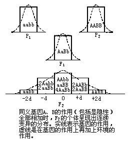 丁香实验推荐阅读