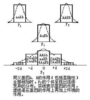 丁香实验推荐阅读