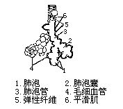 丁香实验推荐阅读