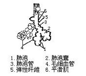 丁香实验推荐阅读