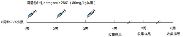 丁香实验推荐阅读