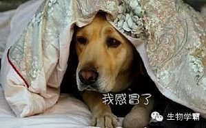 丁香实验推荐阅读