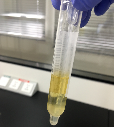 丁香实验推荐阅读