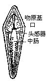 丁香实验推荐阅读