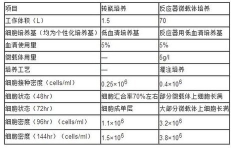 丁香实验推荐阅读